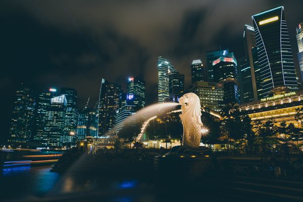 해외 취업 - 신입 웹 개발자의 싱가포르 상륙기